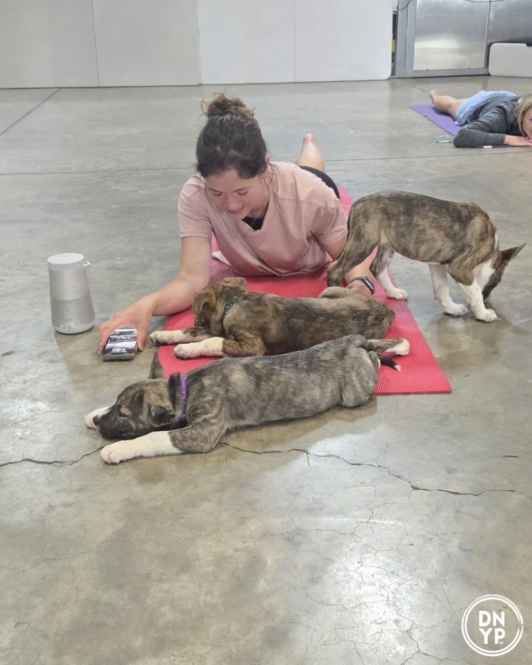 Eavesdrop Brewery to benefit Furever Haven