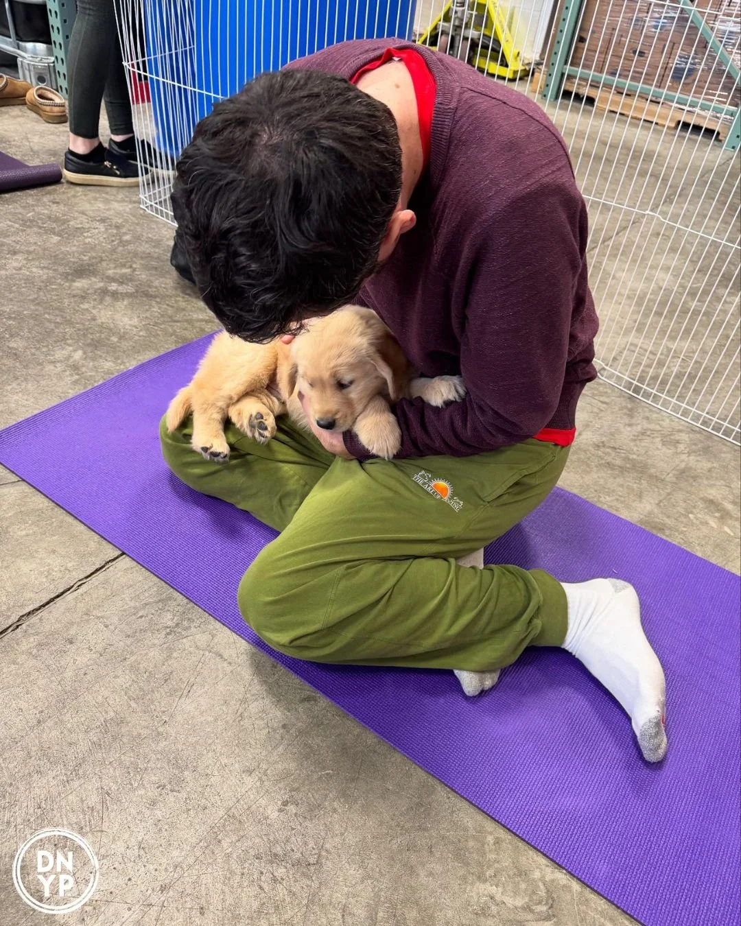 Hydrogen Fitness Greenwich to benefit OSCAR Animal Rescue