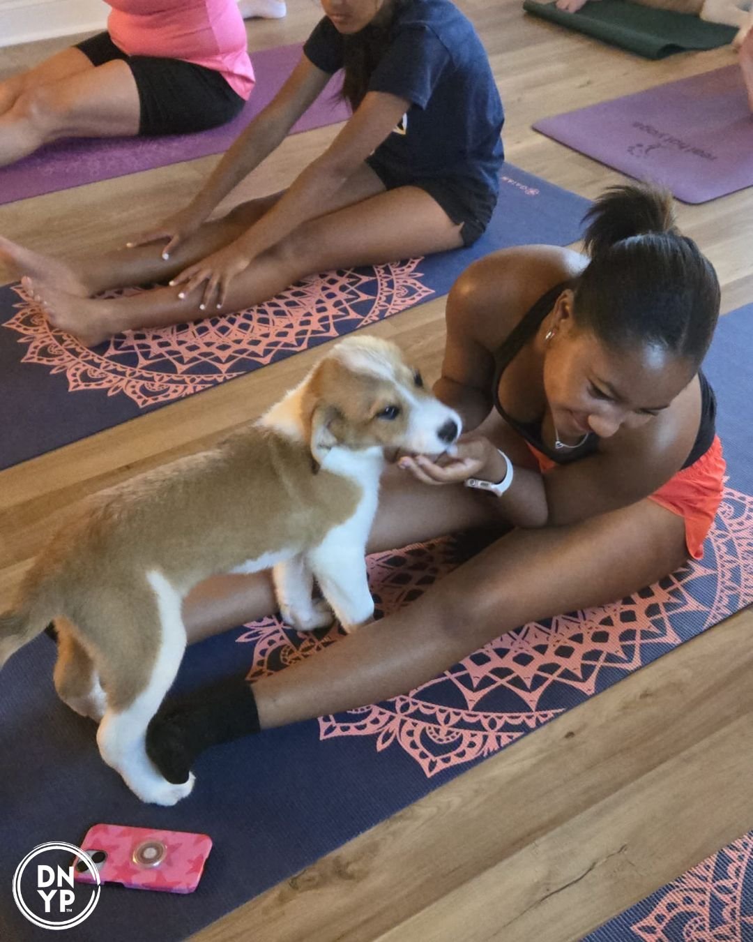 Doggy Yoga With Purpose: Our Rescue‑First Mission
