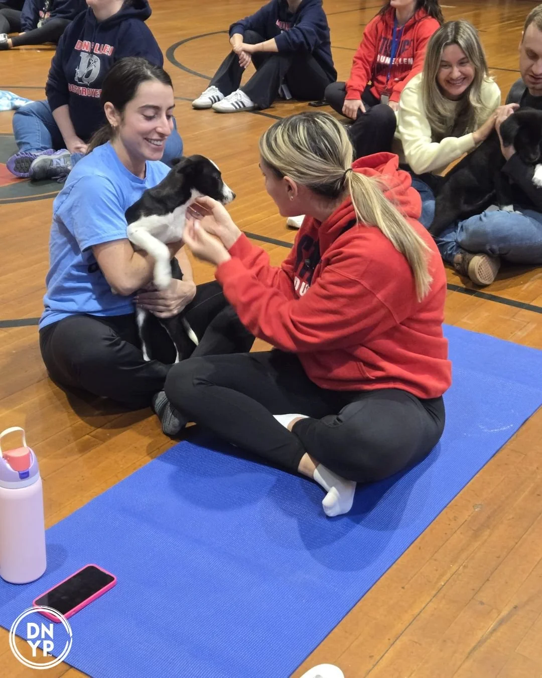 DNYP U - Downward Dogs at Ocean County College