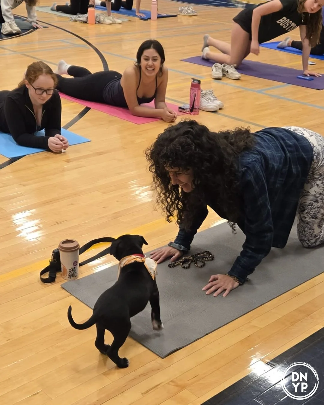 DNYP Private - Paws and Poses at Maplewood Township!