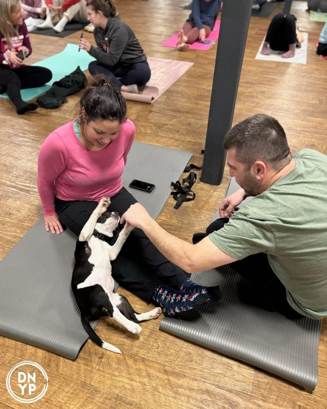 Making Friends at Doggy Yoga