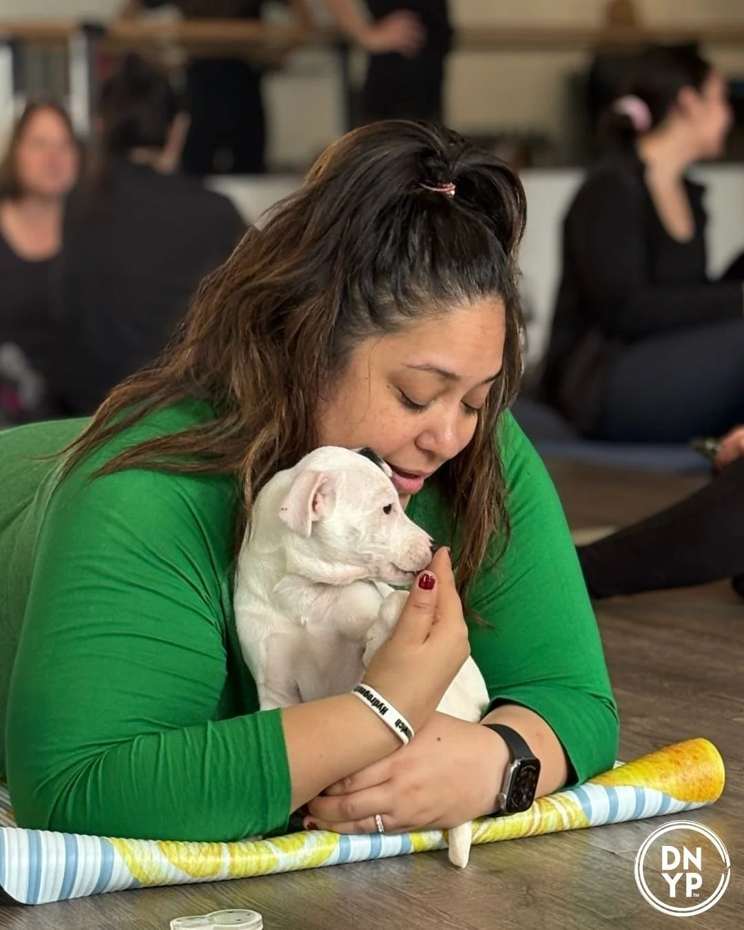 Hazlet Township Recreation to benefit 3 Hearts 4 Paws