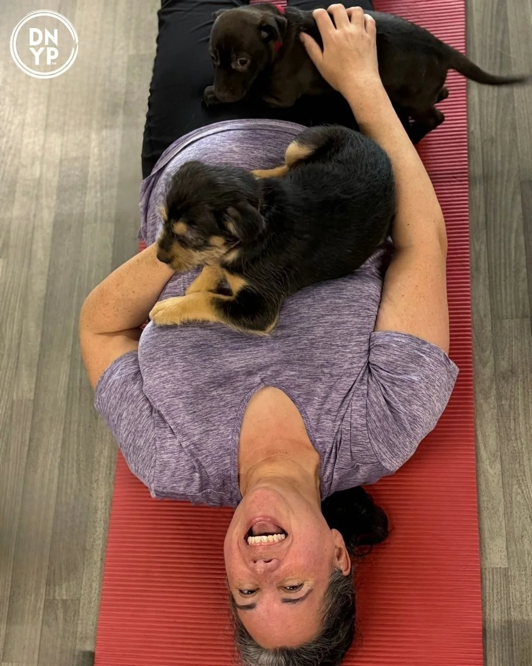 Crunch Fitness-Midland to benefit OSCAR Animal Rescue