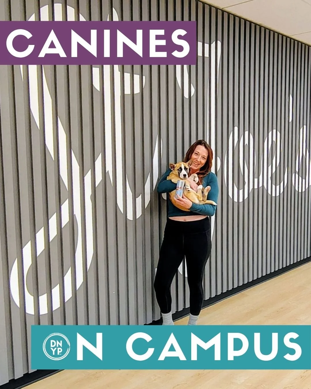 Why&nbsp;Canines on Campus&nbsp;Is Exactly What Students Need Right Now