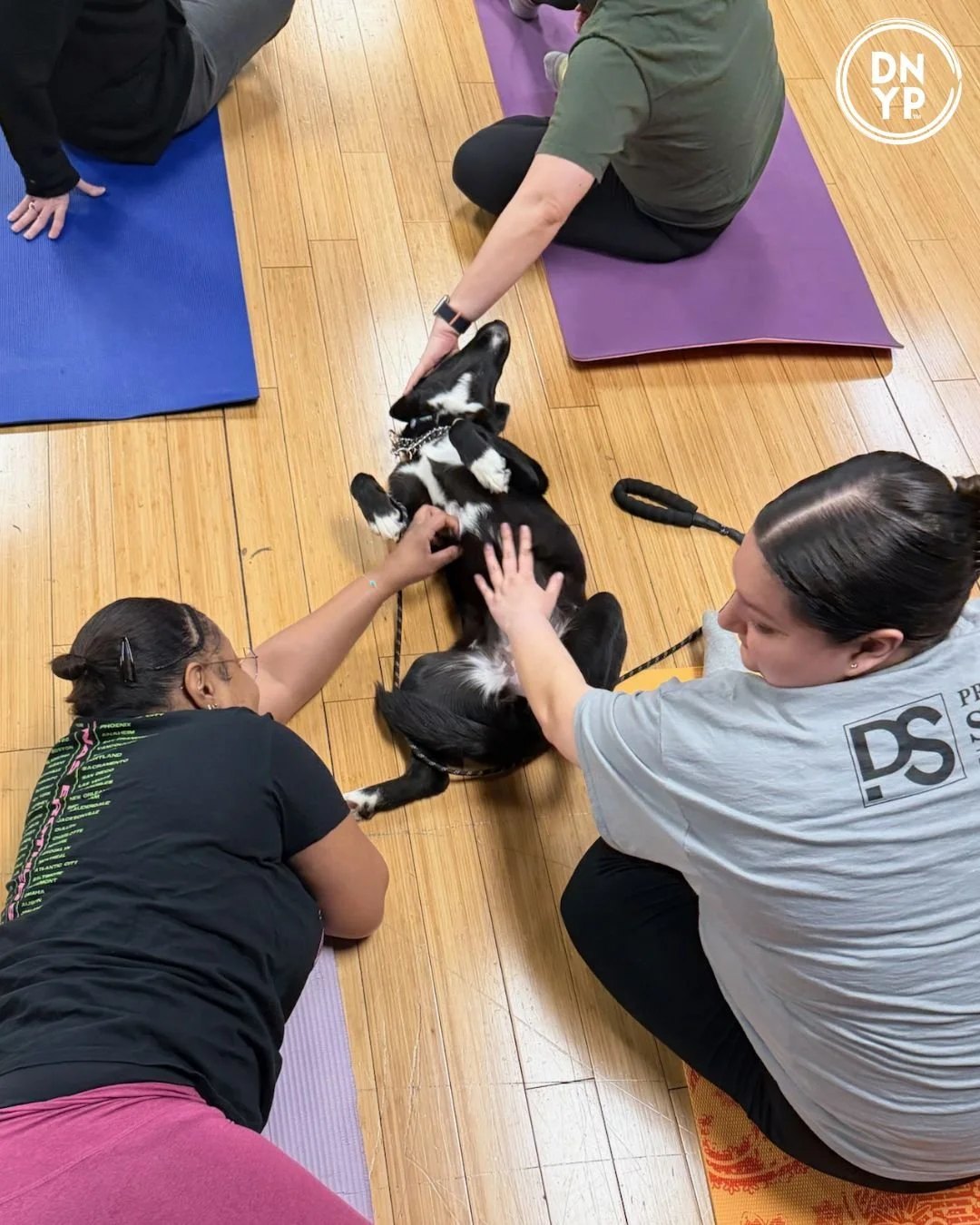 Eavesdrop Brewery to benefit Furever Haven