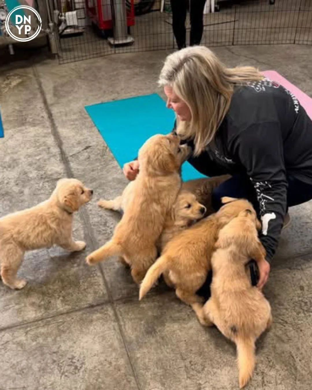 Canines on Campus at Choate Rosemary Hall benefiting Pack Leaders Rescue of Connecticut