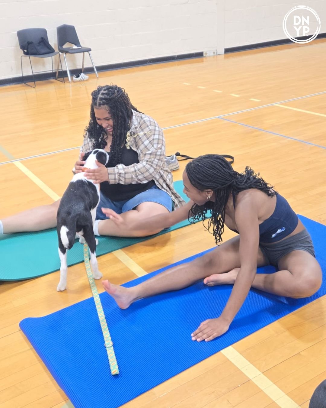 V.I.Paw Puppy Yoga Event for MNCPPC to benefit Key to Lion's Heart Rescue