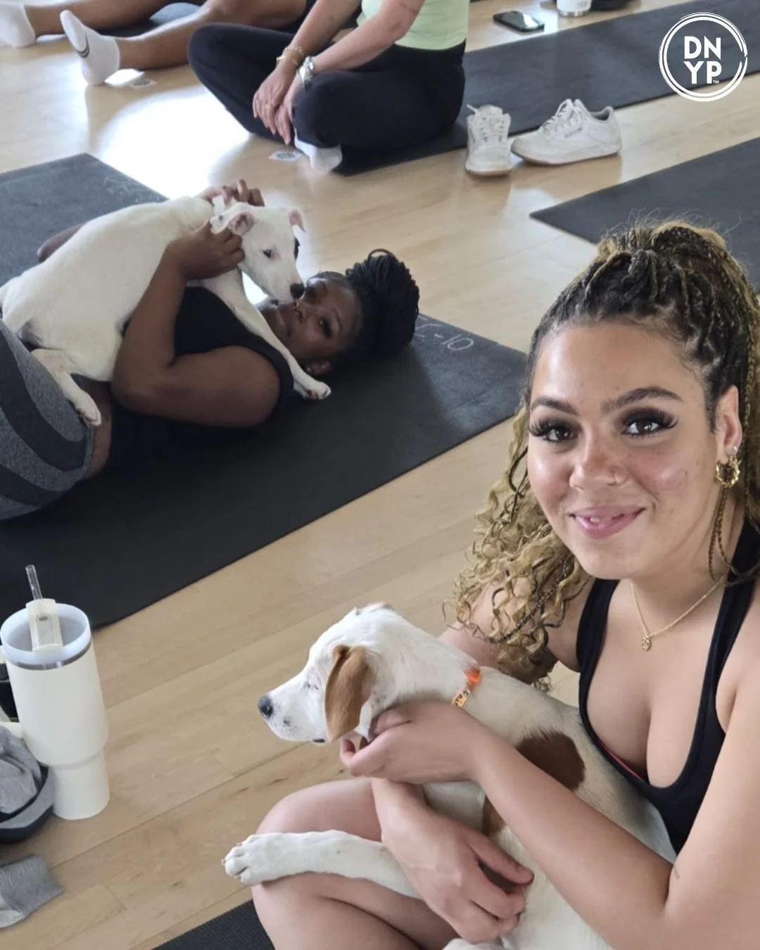 Crunch Fitness- Clifton to benefit Best Friend Dog Rescue Inc.