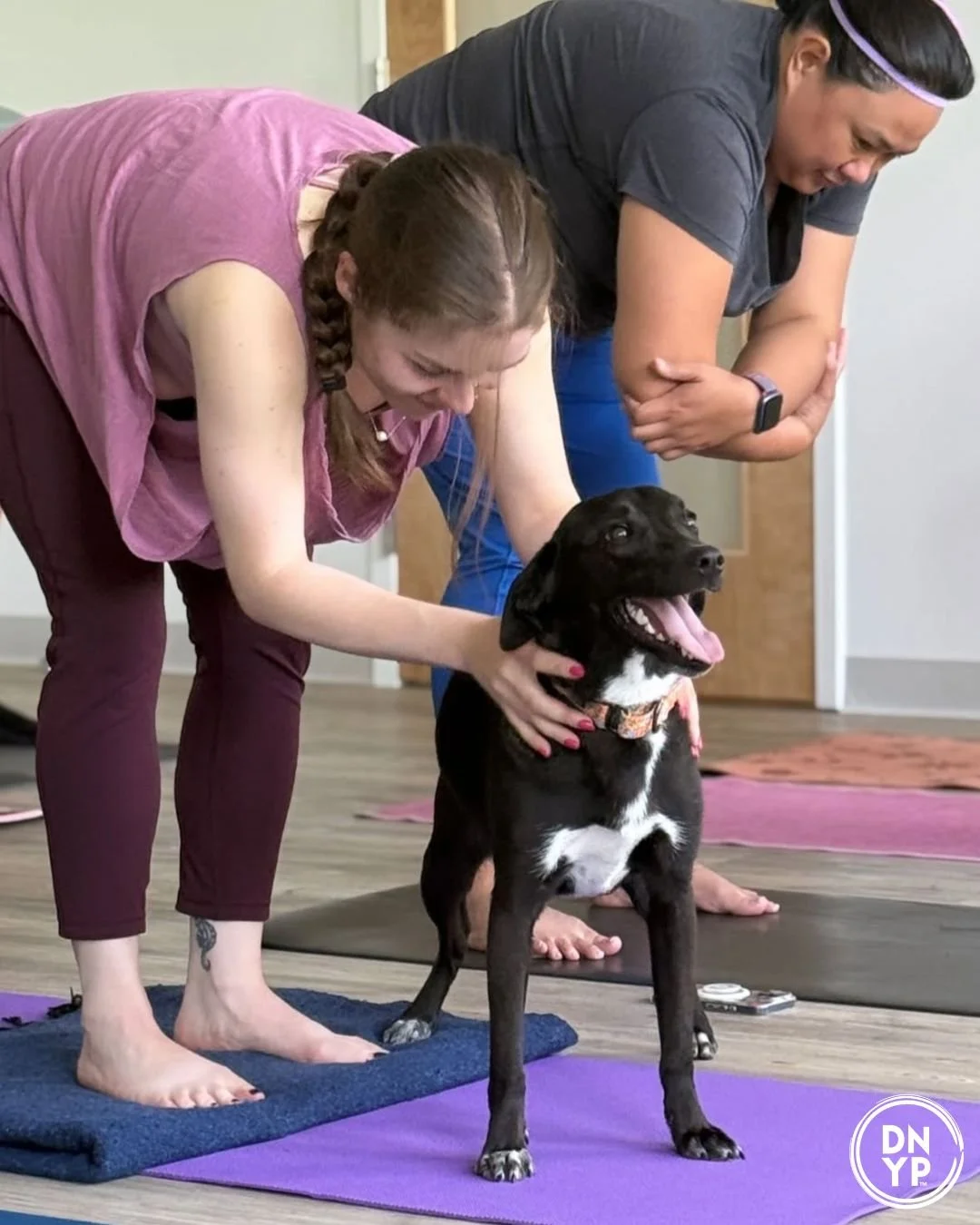 Riverside Health and Fitness to benefit JKRC Rescue