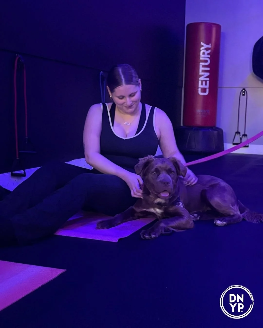       
  
    When most people hear the words "puppy yoga," they picture playful puppies, smiling participants, and plenty of adorable photo opportunities.  And while those moments are certainly part of the experience, at Doggy Noses &amp; Yoga Poses