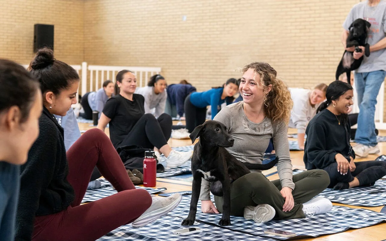 Canines on Campus event at Villanova University