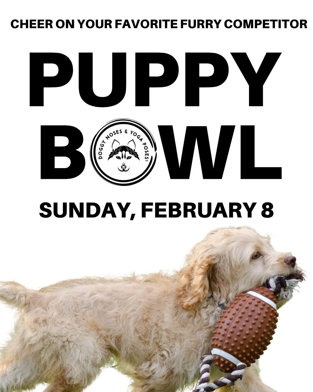 Puppy Super Bowl and Yoga