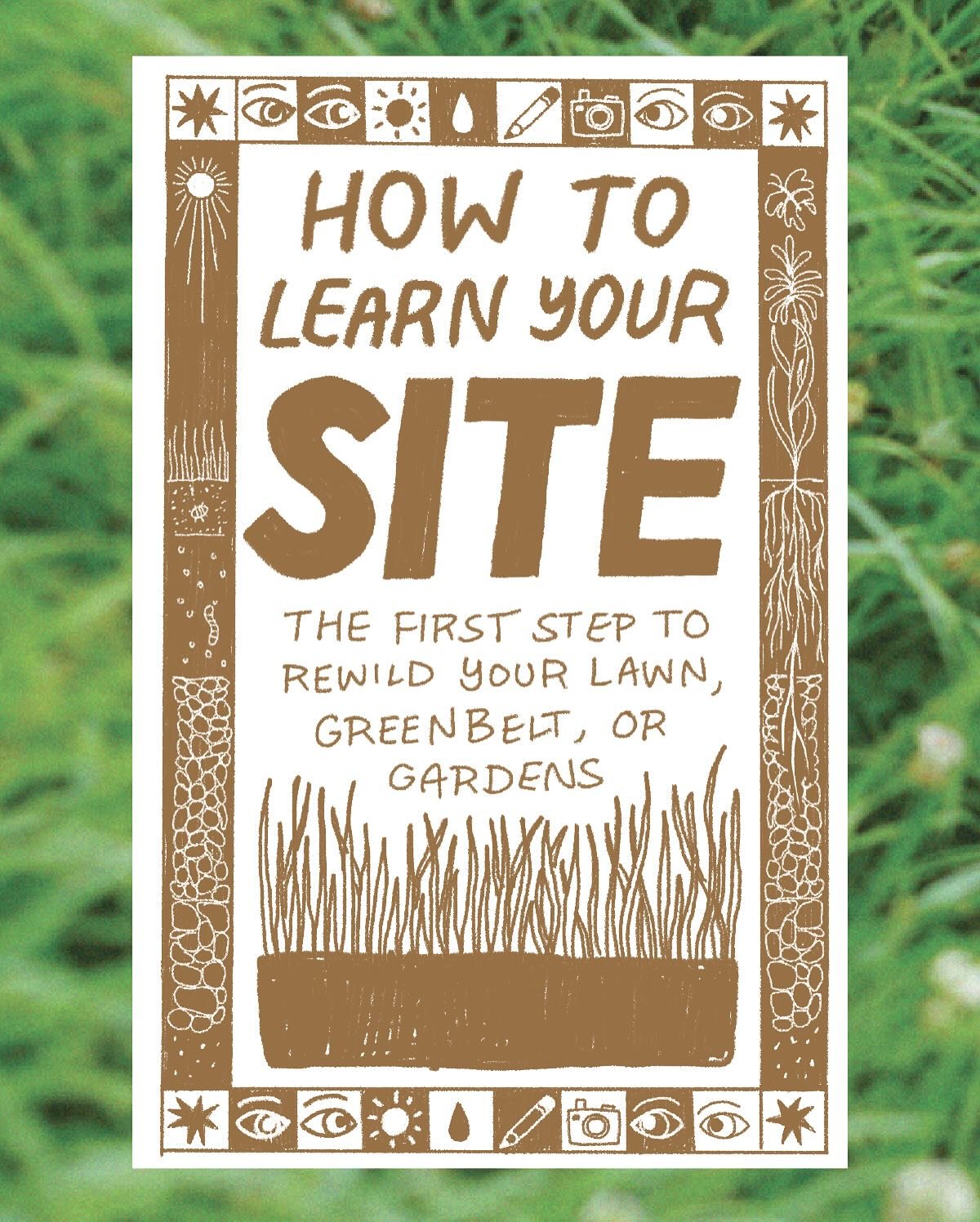Learn your site!

That&rsquo;s the first step to transform your lawn, green belt, gardens, or other spaces into beautiful, productive, abundant habitat for pollinators and wildlife.

Taking the time to observe your soil, light, and other conditions s
