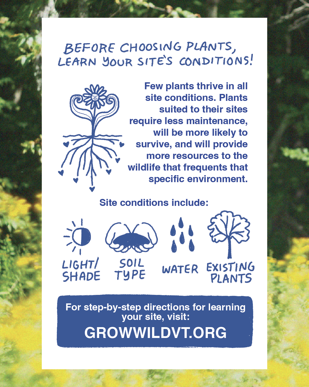 GW Slides_Plants_v2 PNGs-03.png