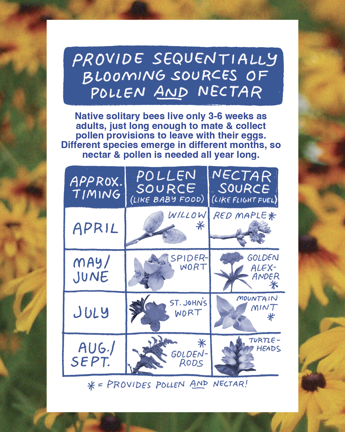 GW Slides_Plants_v2 PNGs-05.png
