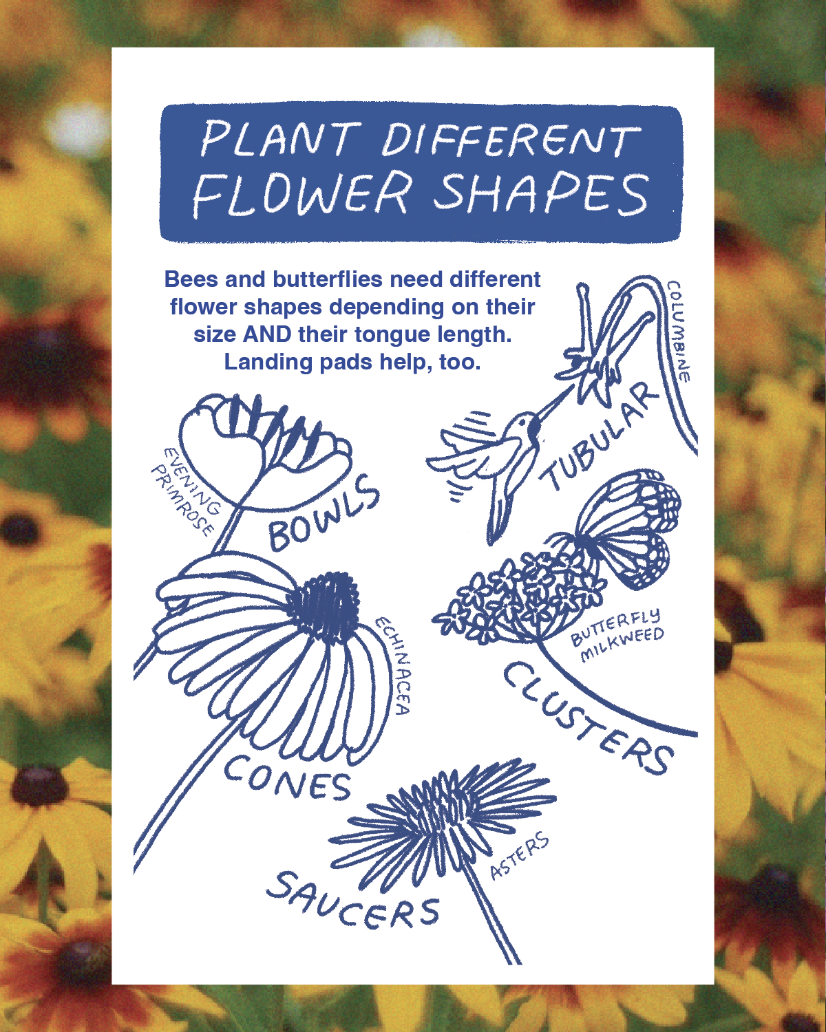 GW Slides_Plants_v2 PNGs-06.png