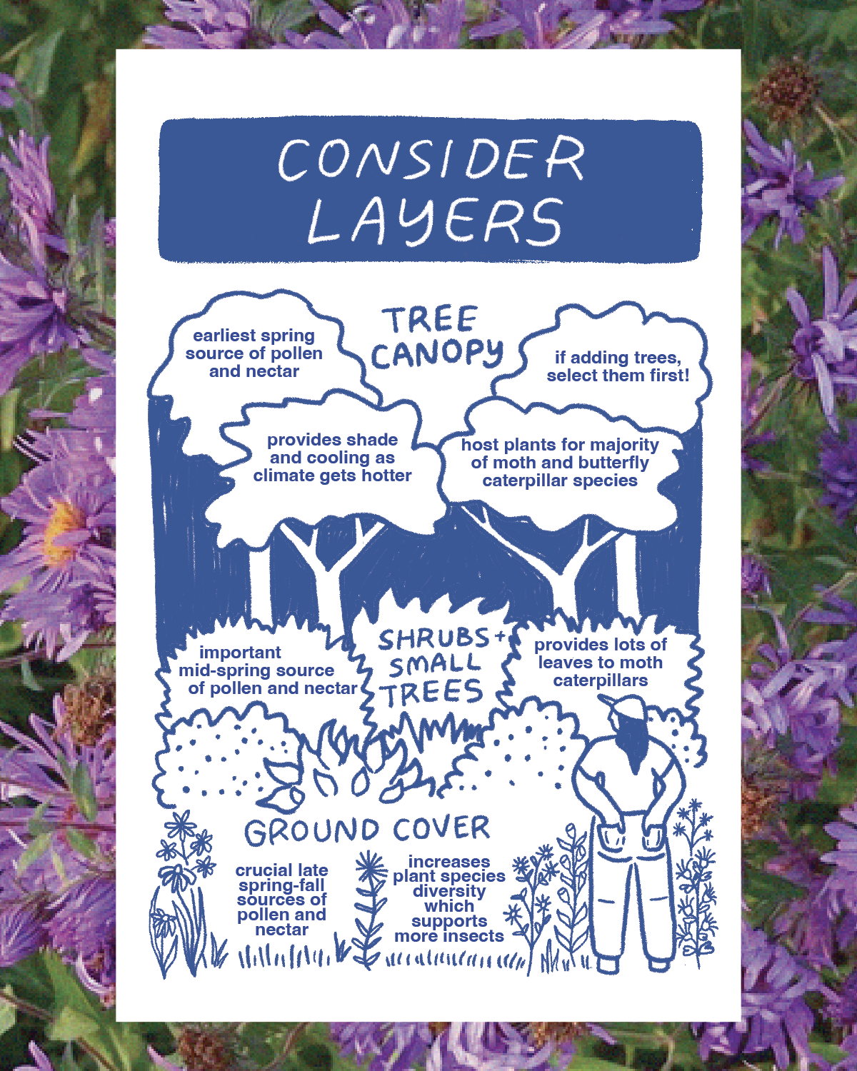 GW Slides_Plants_v2 PNGs-07.png