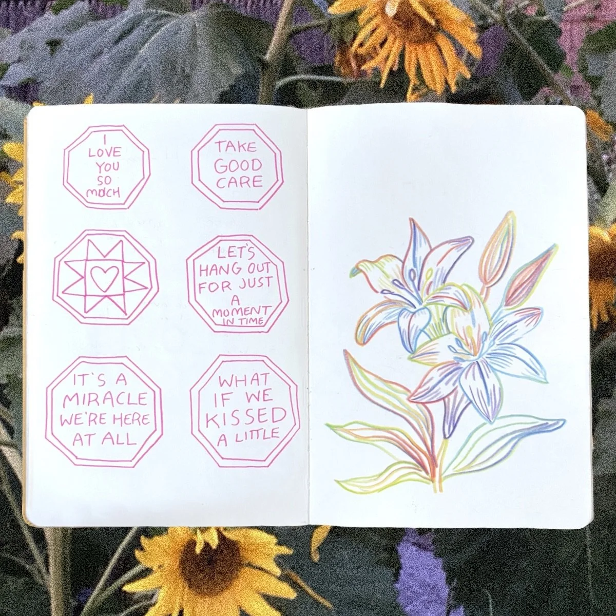 Christine Tyler Hill Sketchbook Scan from 2025 showing alternative stop sign messages including "I Love You So Much" and "Take Good Care." On the left, a rainbox pencil sketch of morning lilies.