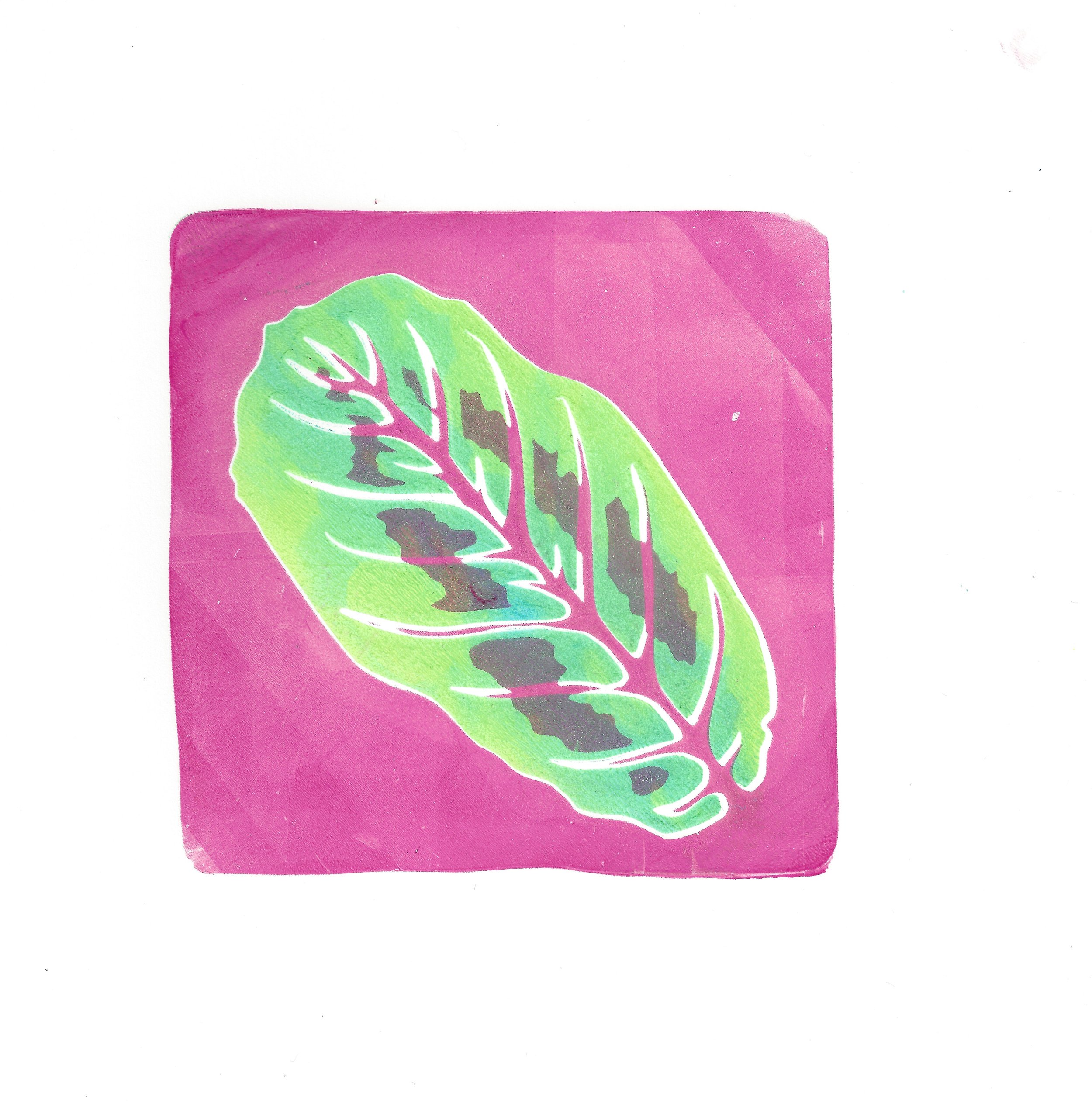 Studio_Art_Club_Prayer_Plant 2.jpeg
