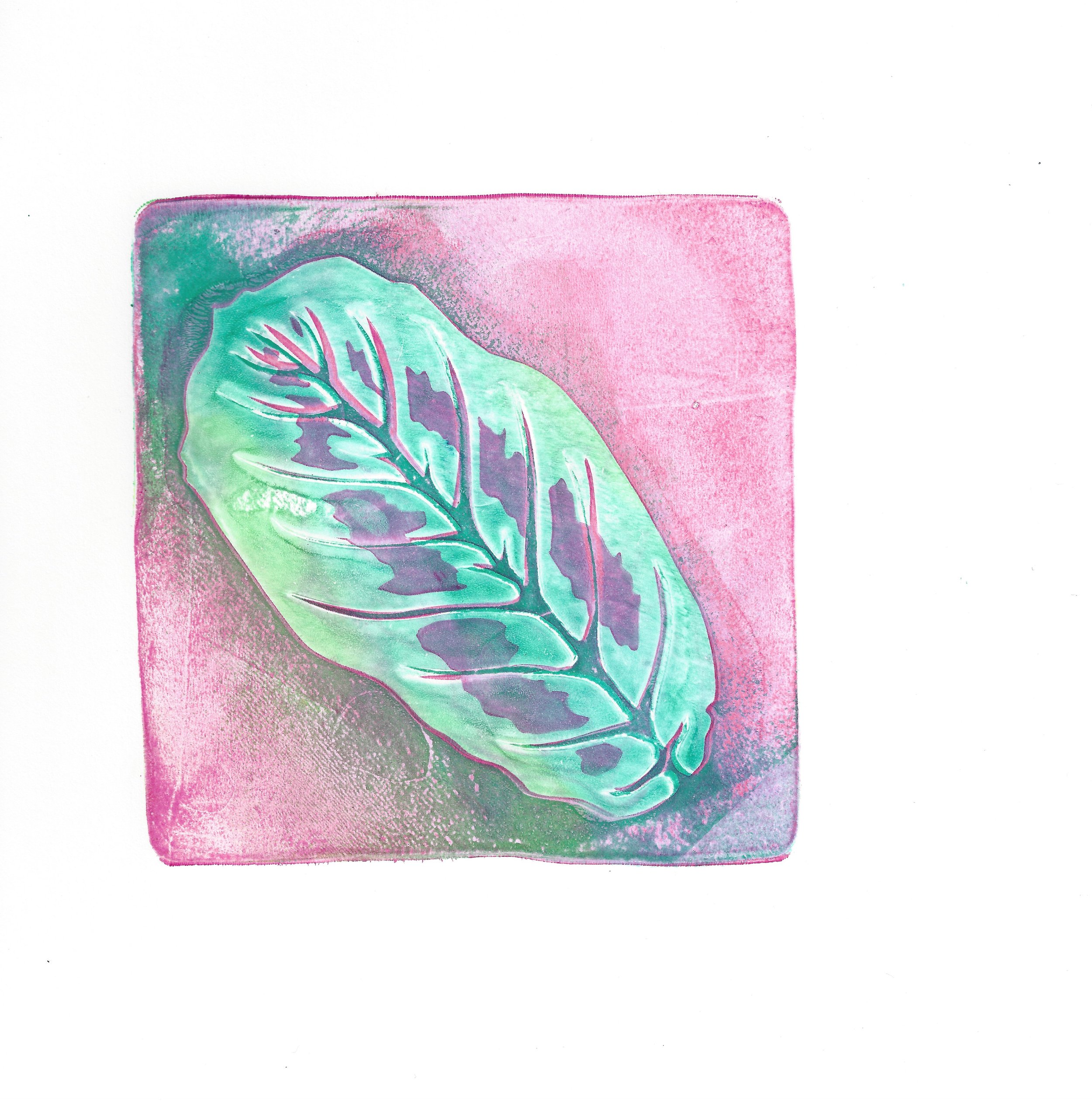 Studio_Art_Club_Prayer_Plant.jpeg