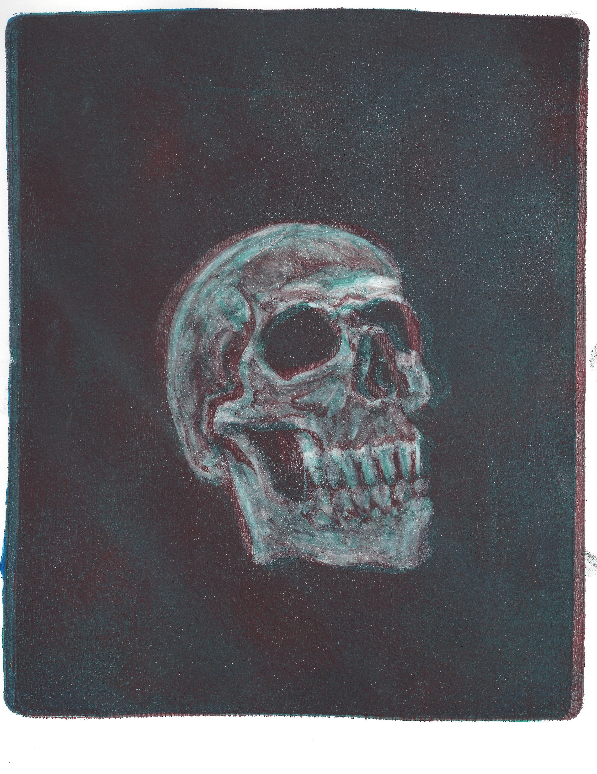 Studio_Art_Club_Skull_09.jpeg