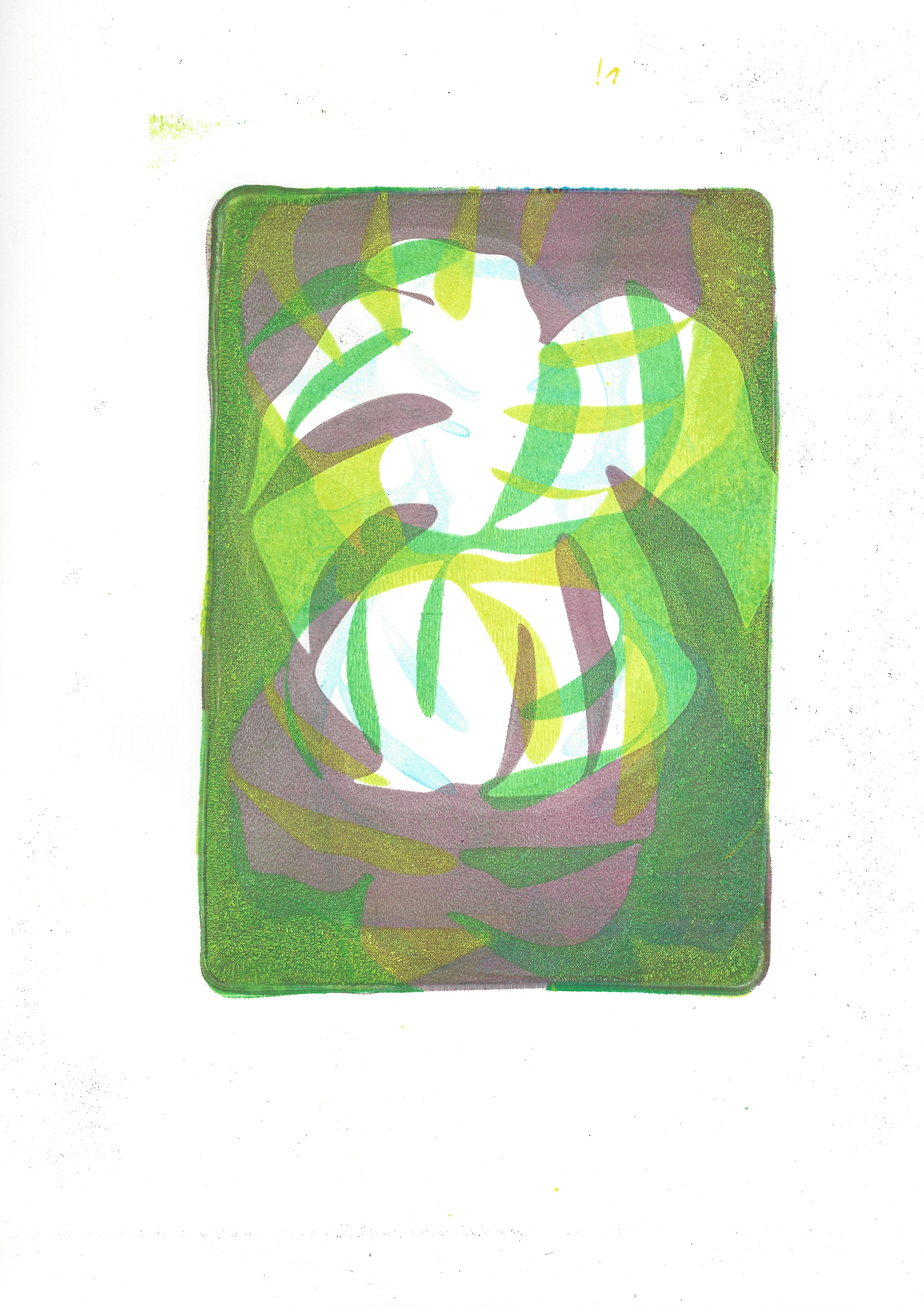 Monstera 2.jpeg
