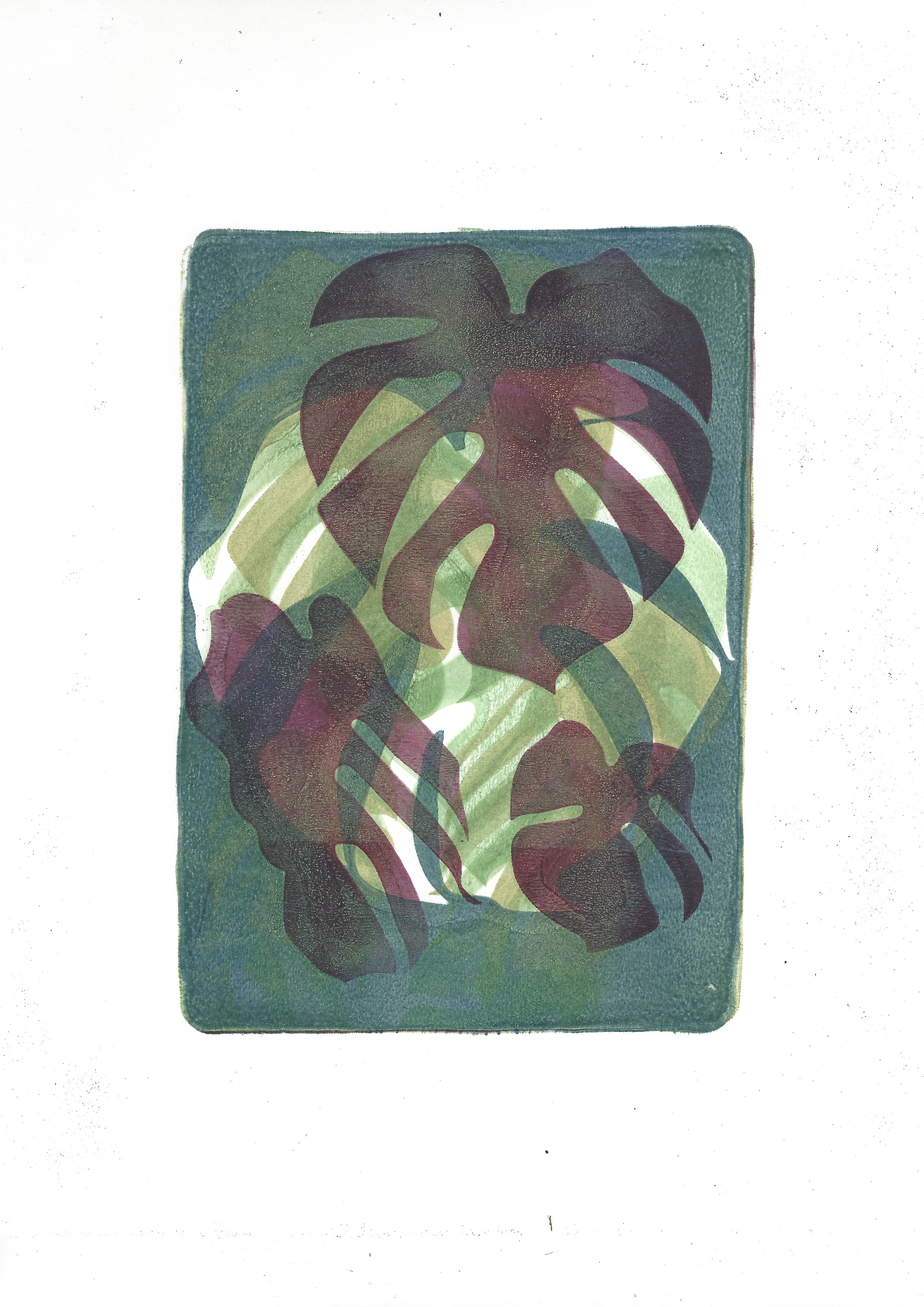 Monstera.jpeg