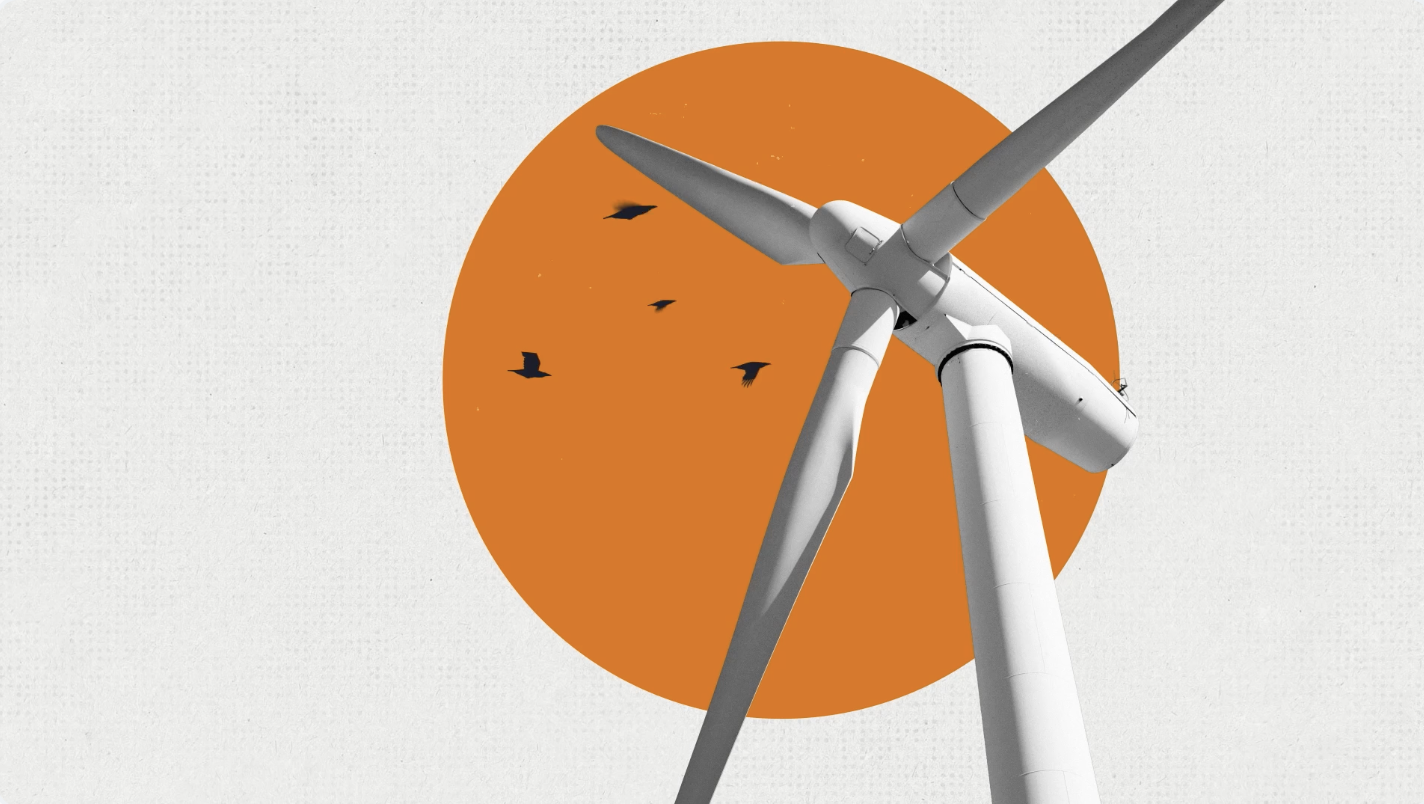 National Engineering Policy Centre: Windfall Project