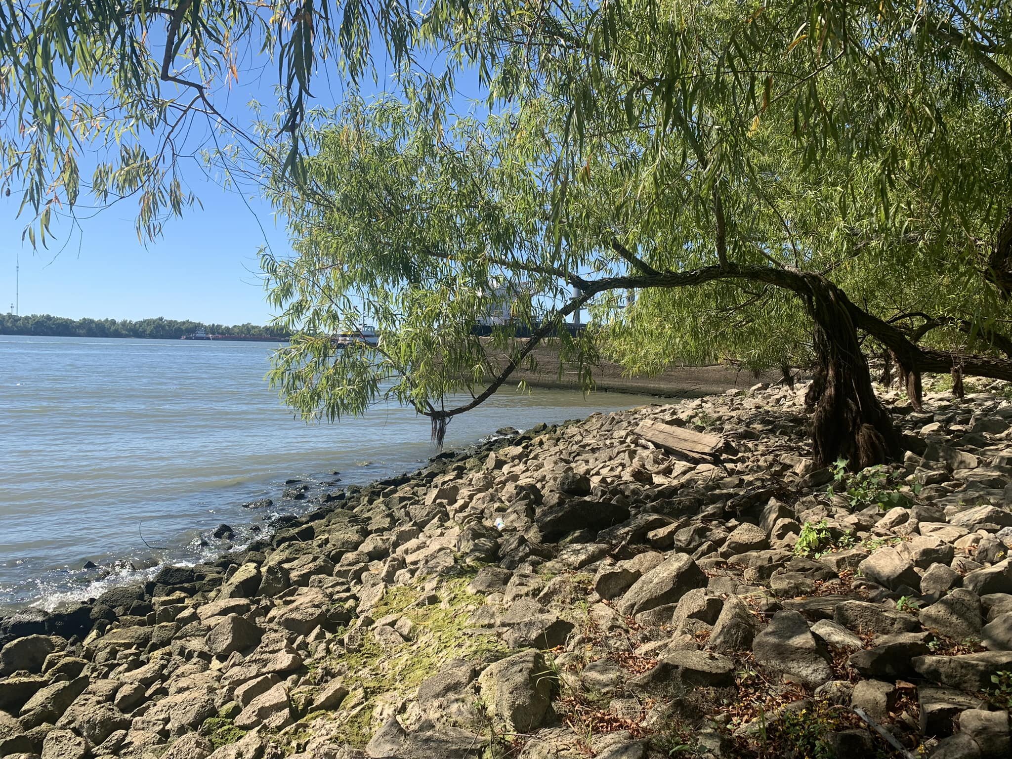 I&rsquo;m walking on the riverbed of the Mississippi right now&hellip; The water should be about 20 feet over my head, but it isn&rsquo;t, because the river is drying up, and it&rsquo;s only about 2 1/2 feet above sea level, and the powers that be ar