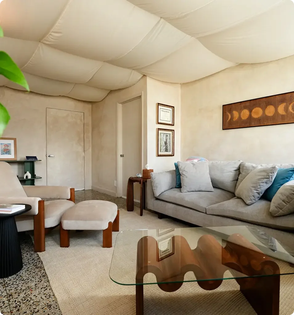 a decorative room view with sofa's and other furniture