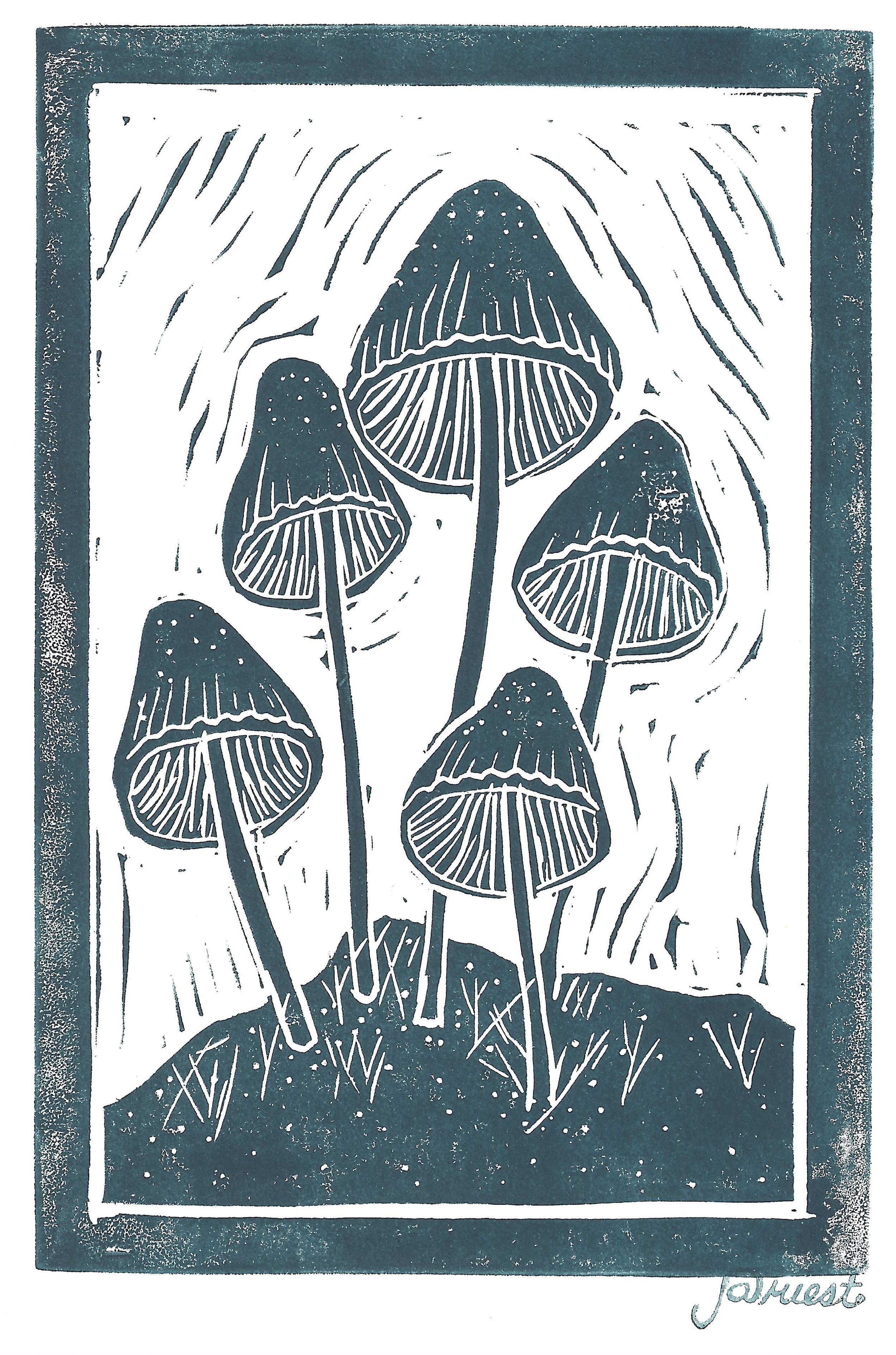 Common Cone Cap Mushroom.jpeg