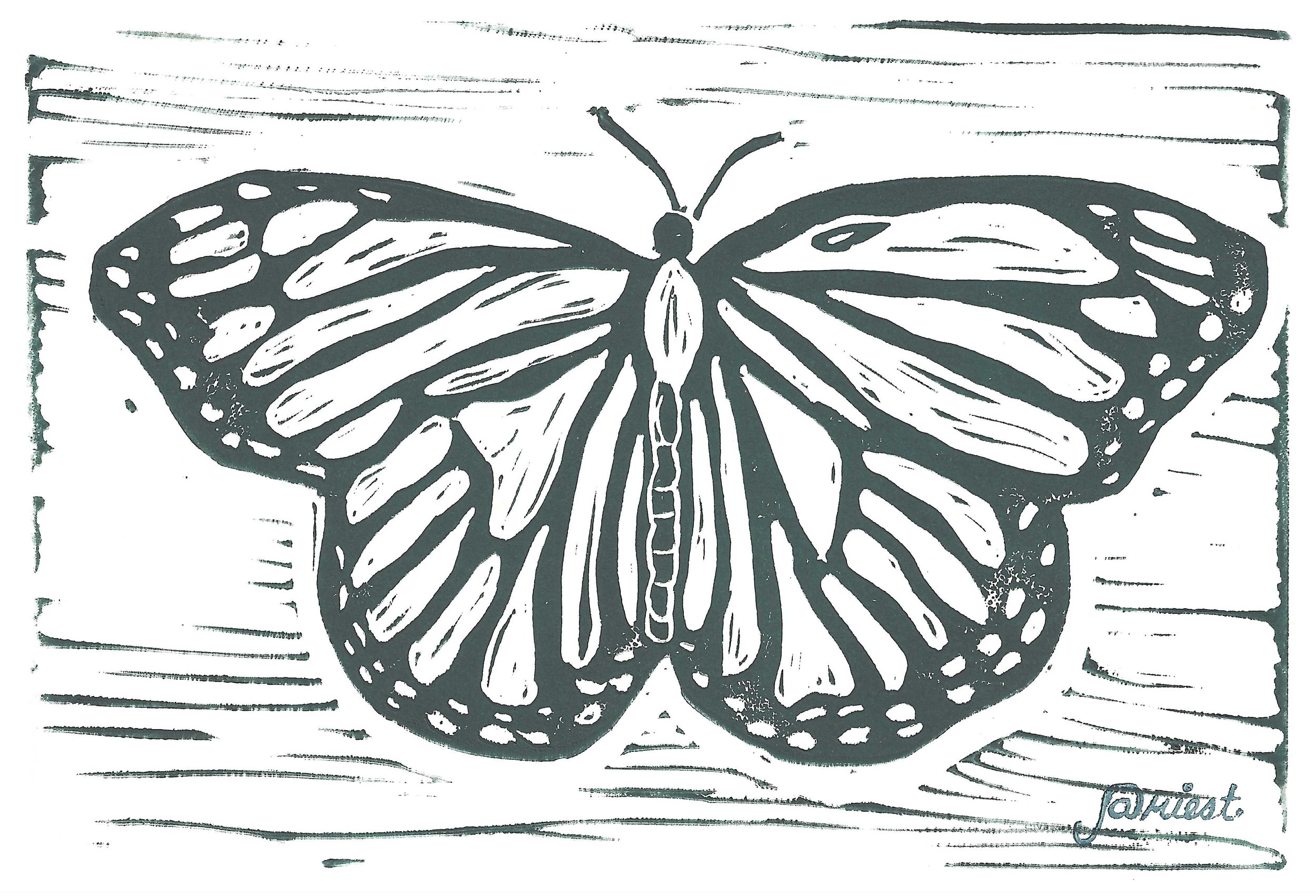 Monarch Butterfly.jpeg