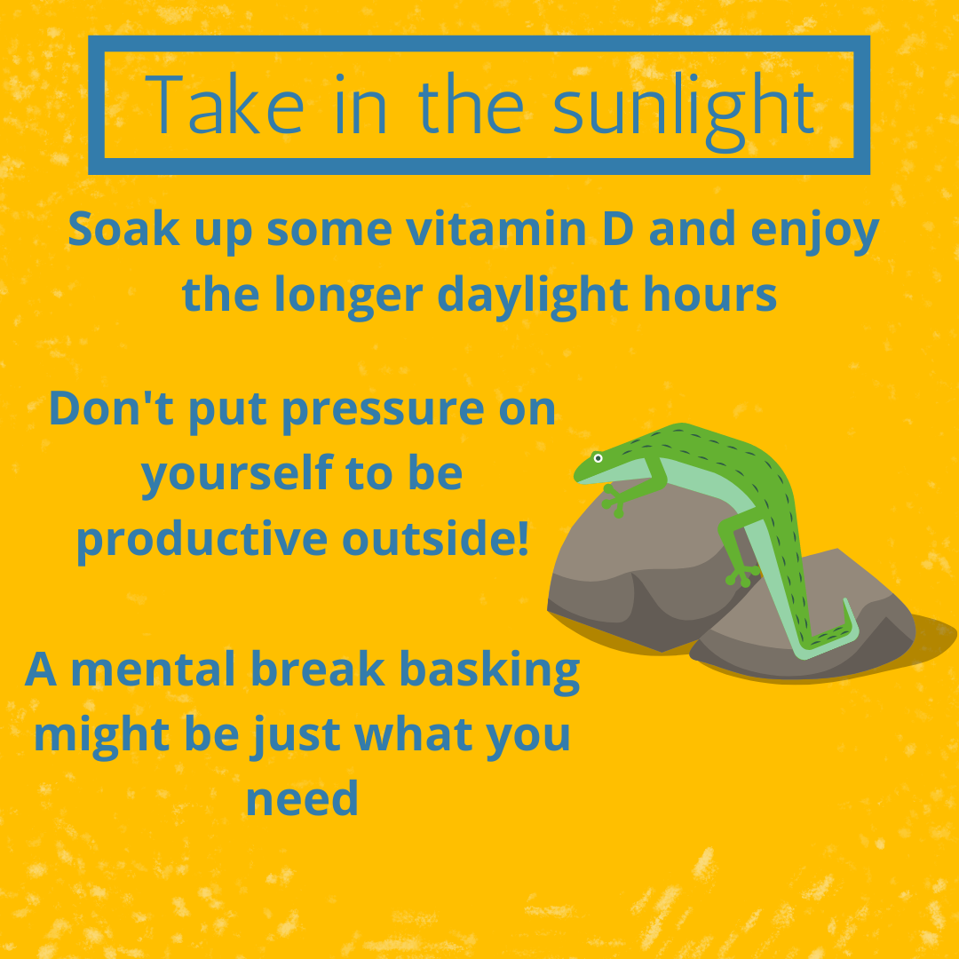 Self-Care Tips and Tricks!