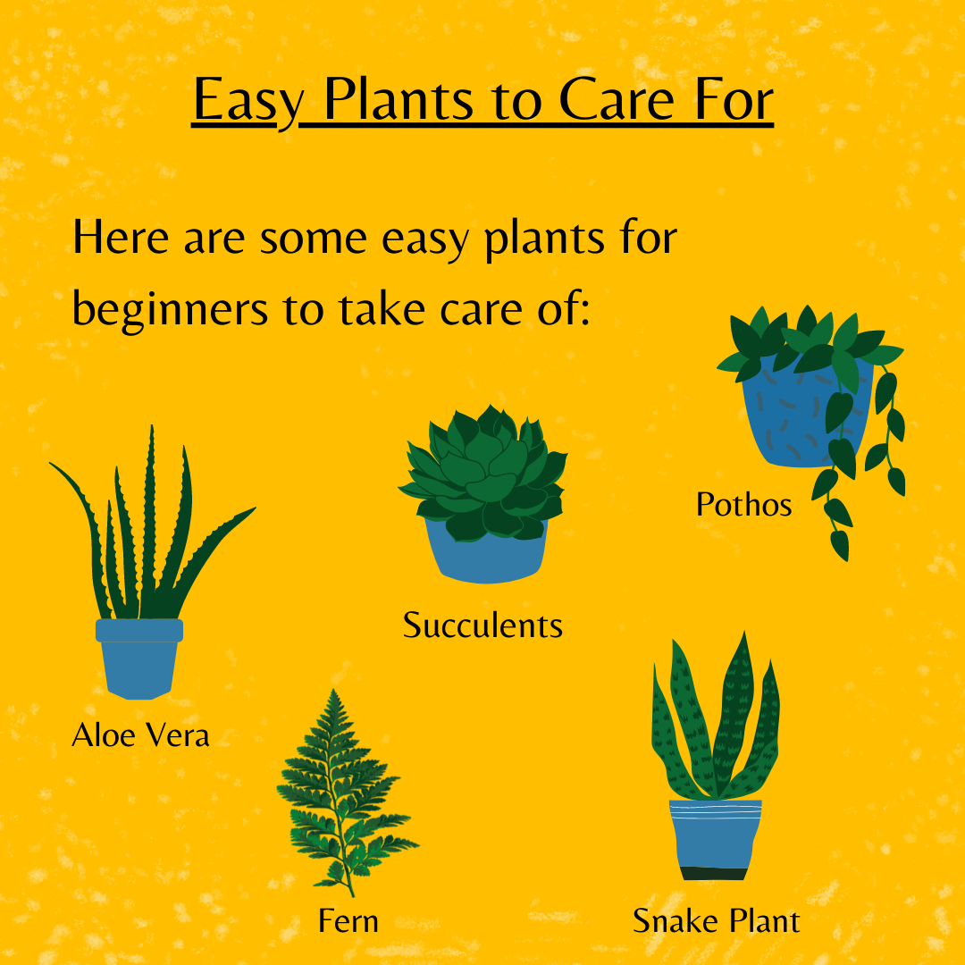 Let's talk plants! 🌻🌿