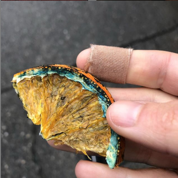 Prebiotic Orange Slices
