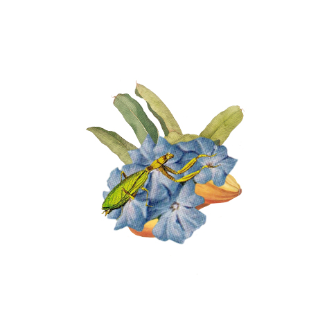Gracia Haby and Louise Jennison_The Big Issue_In the garden with you 04.png