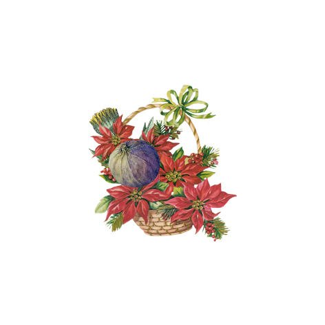 Gracia Haby and Louise Jennison_The Big Issue_In the garden with you 10.png