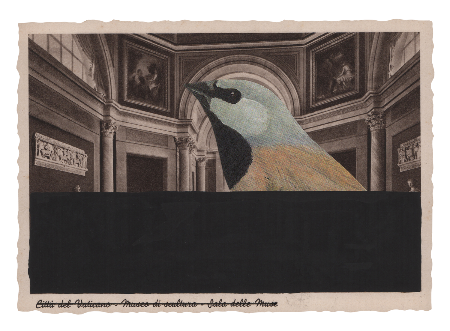 Gracia Haby and Louise Jennison_Black Throated Finch_4.png