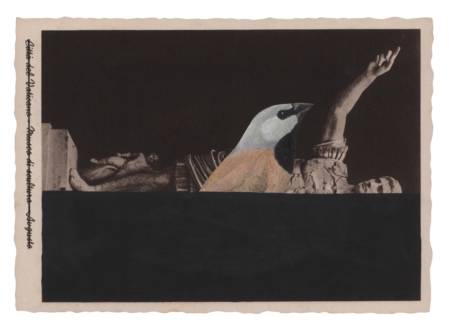 Gracia Haby and Louise Jennison_Black Throated Finch_7.png