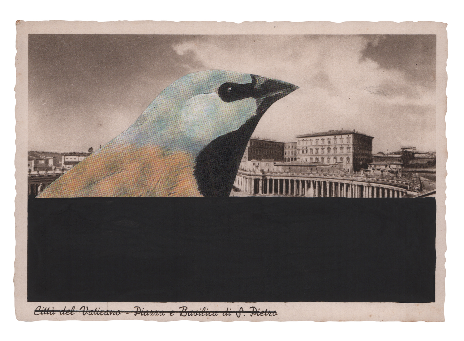 Gracia Haby and Louise Jennison_Black Throated Finch_11.png