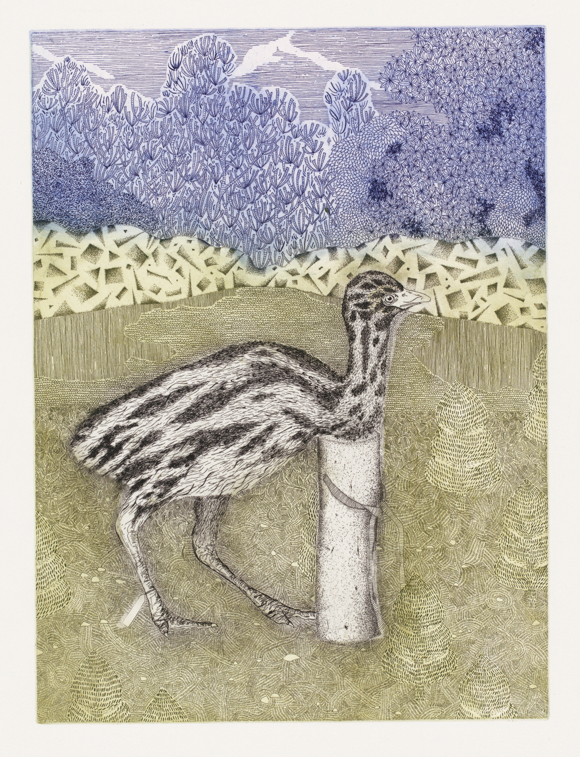  Gracia Haby &amp; Louise Jennison,  Grande Perspective in the memory of a swan , etching with hand-colouring. Image drawn directly on to the copper plate by the Artists and processed, proofed and printed in an edition of 20 (plus proofs), in three c