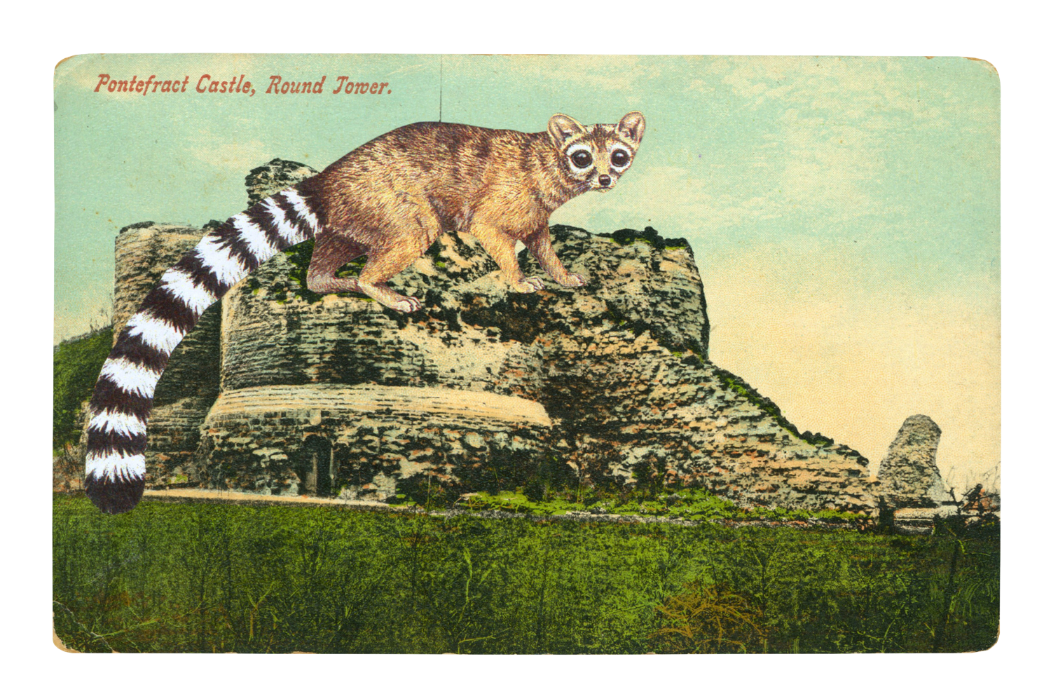 Gracia Haby & Louise Jennison_A menagerie of common and exotic animals 01.png