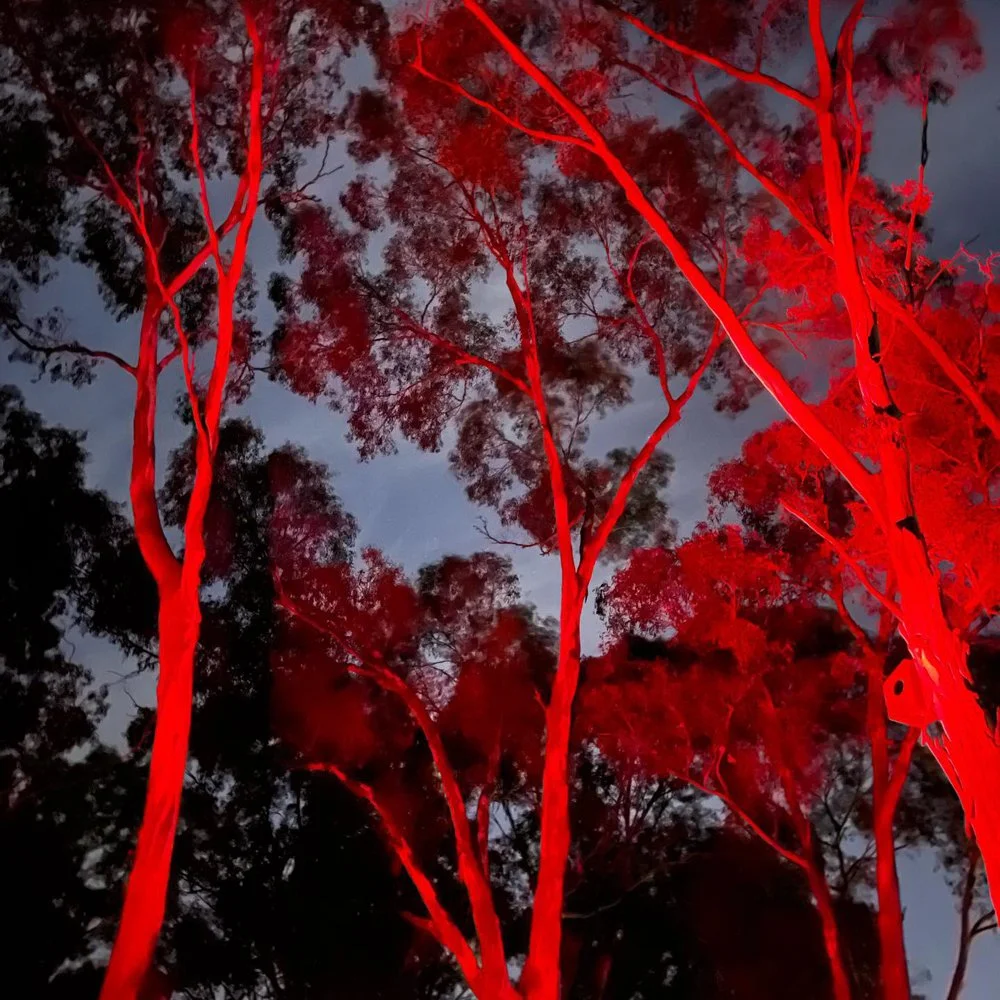 gracialouise_february 2022_04.jpg