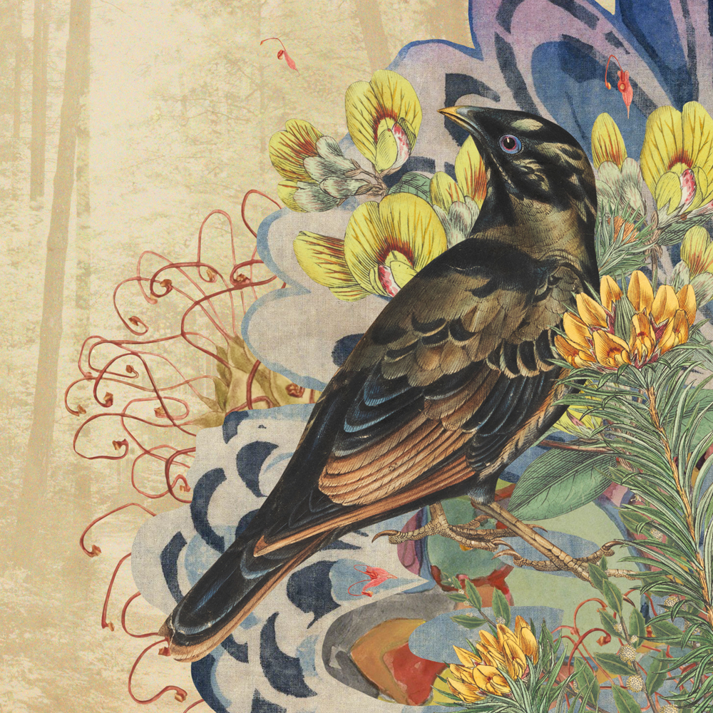 GraciaHaby_LouiseJennison_NGV_MABF 2022_02.png