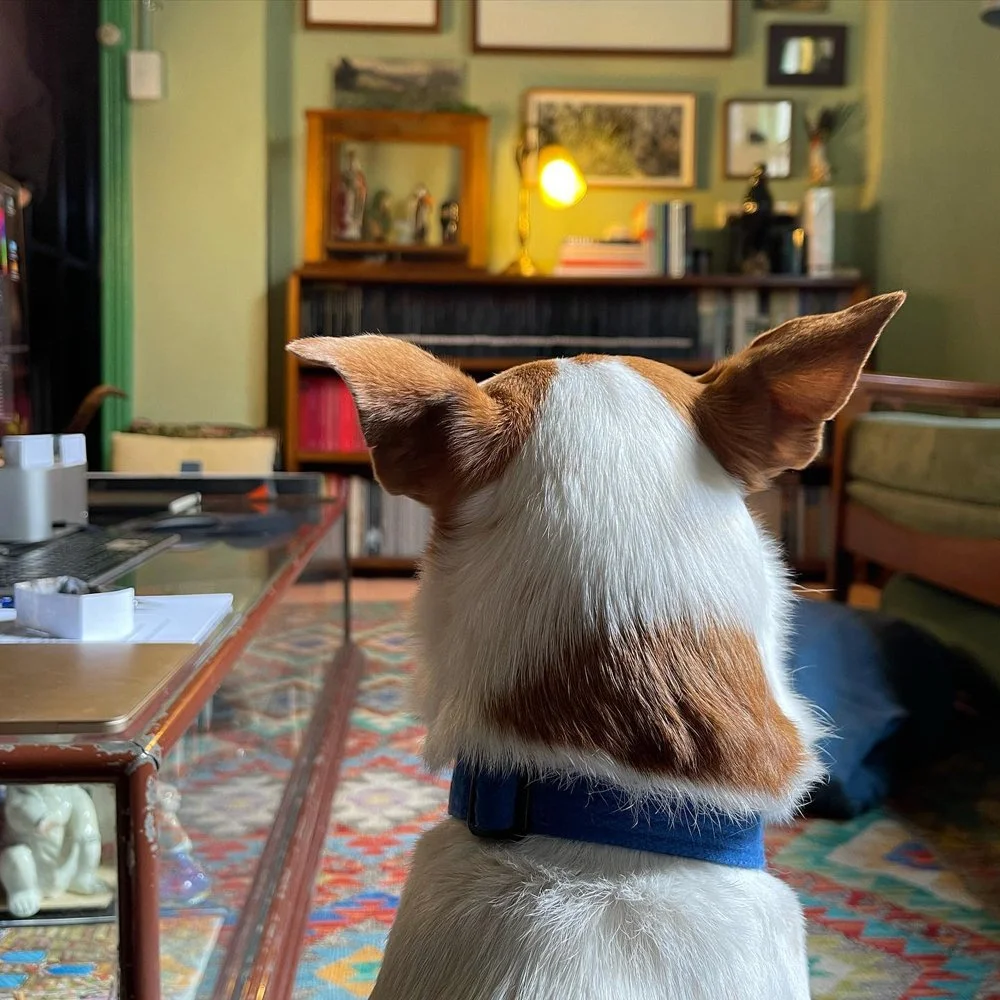 gracialouise_the remaking of things_01.jpg