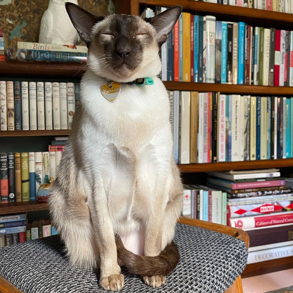 gracialouise_the remaking of things_04.jpg