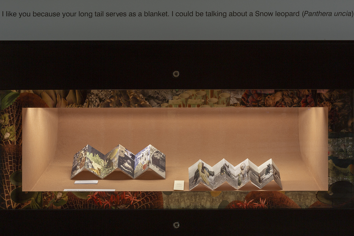 Gracia Haby & Louise Jennison_Because I Like You_Arts West 05.png