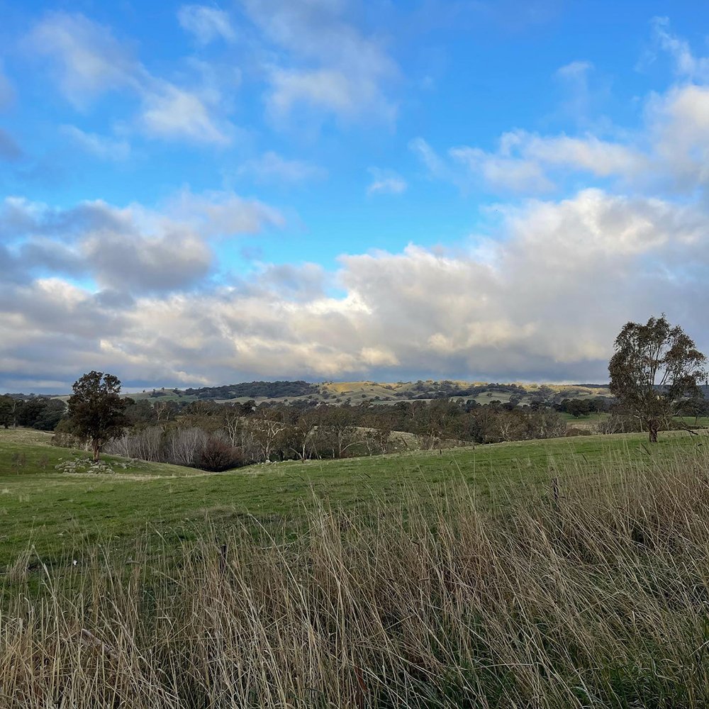 Gracia and Louise_Castlemaine 2023_03.jpg