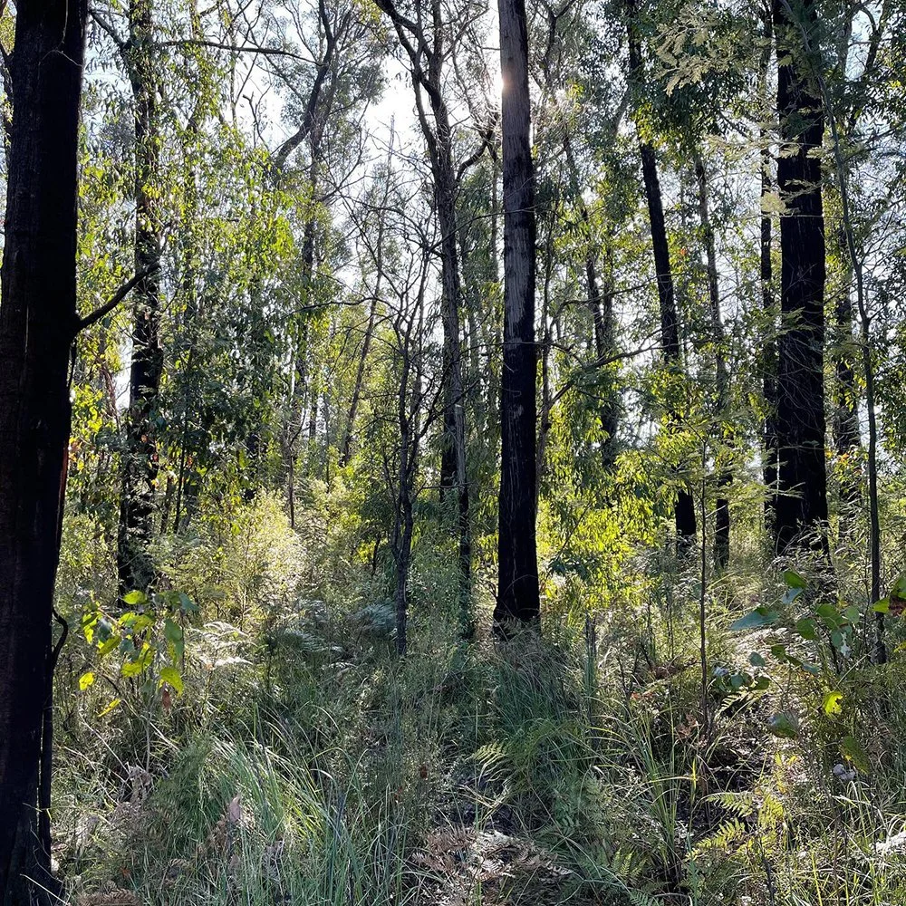 Gracia and Louise soft release 2023 02.jpg